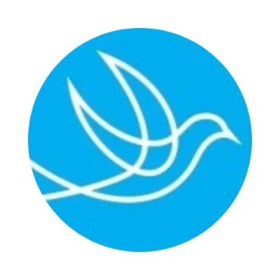Lynch & Associates Limited