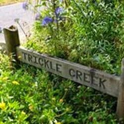 Trickle Creek