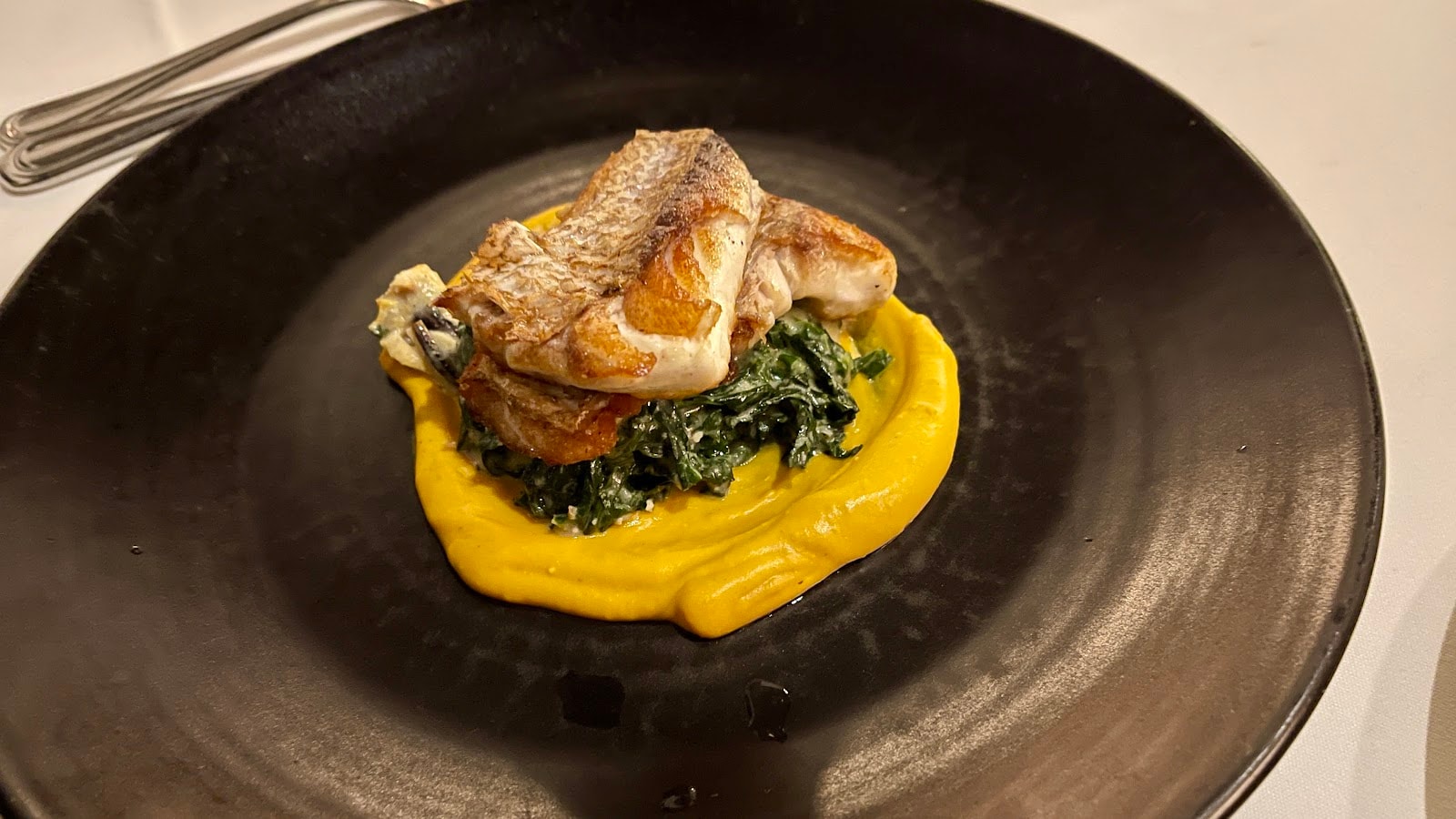 Cibo — Restaurants in Auckland