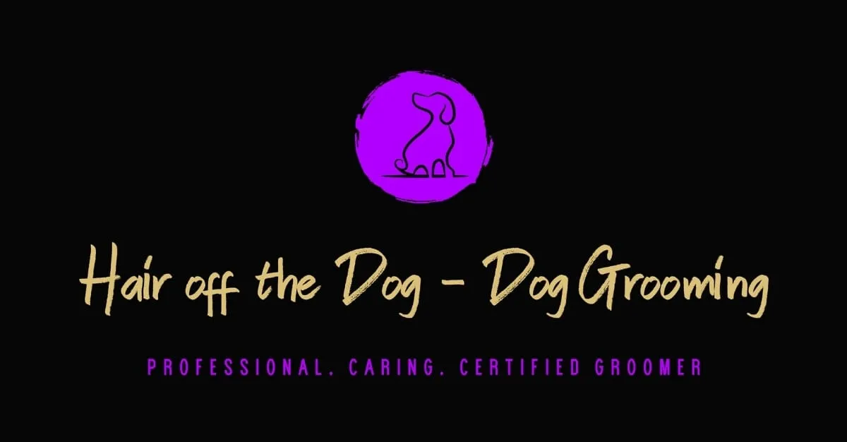 Hair Off The Dog — Dog Groomers in Lower Hutt