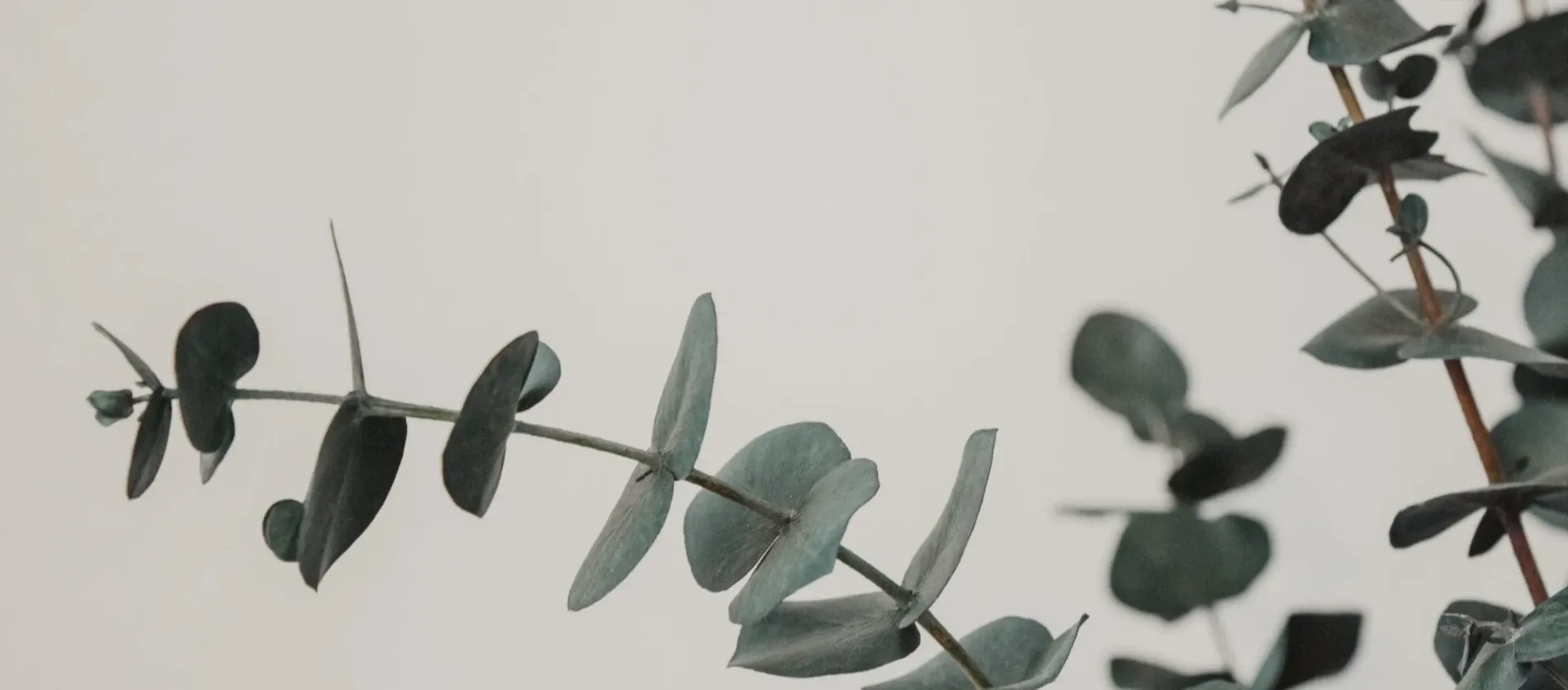 The Digital Freelancer — Digital Marketing Agencies in Lower Hutt