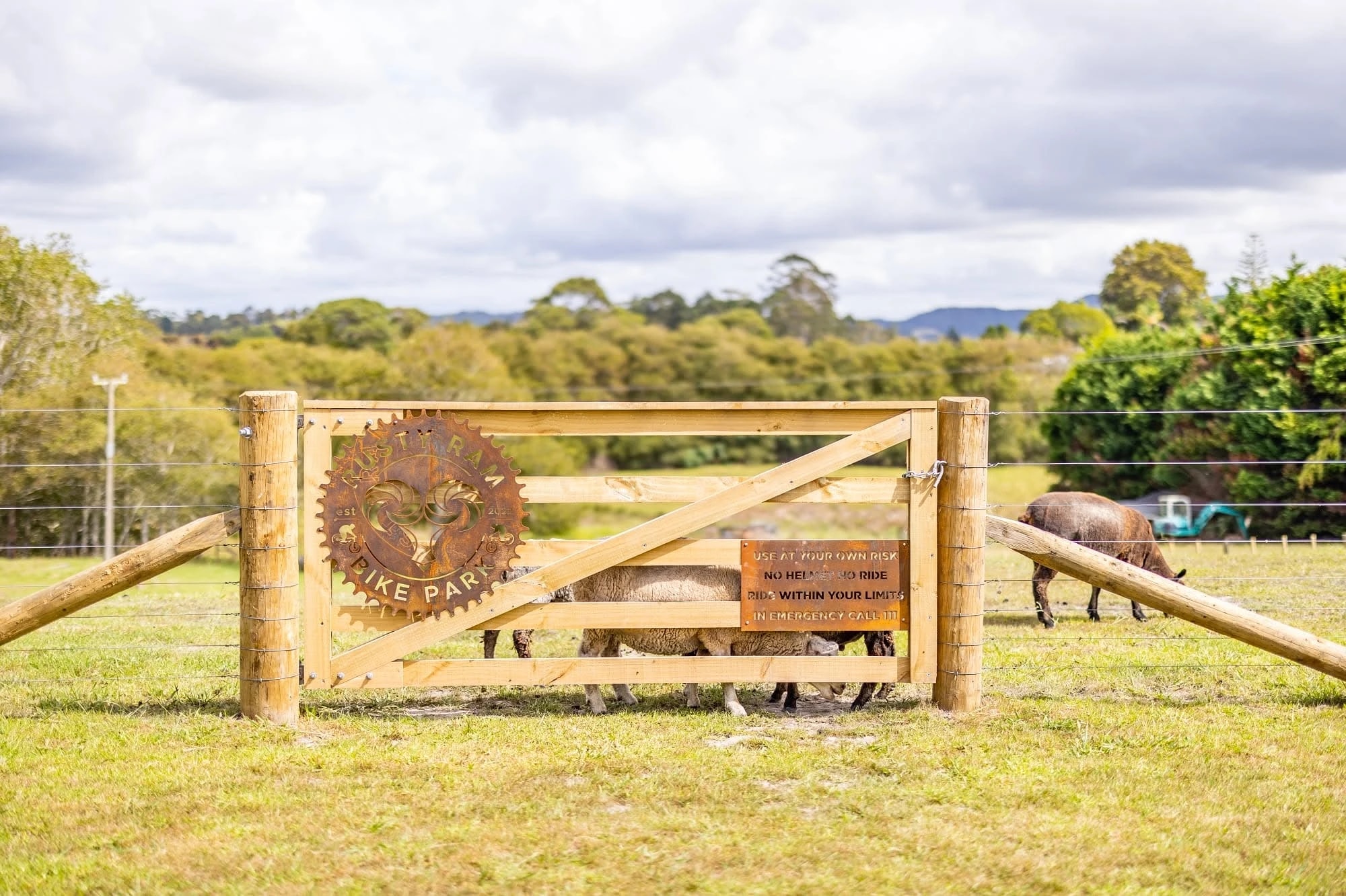 Altitude Design Studio — Graphic Designers in Bay of Islands