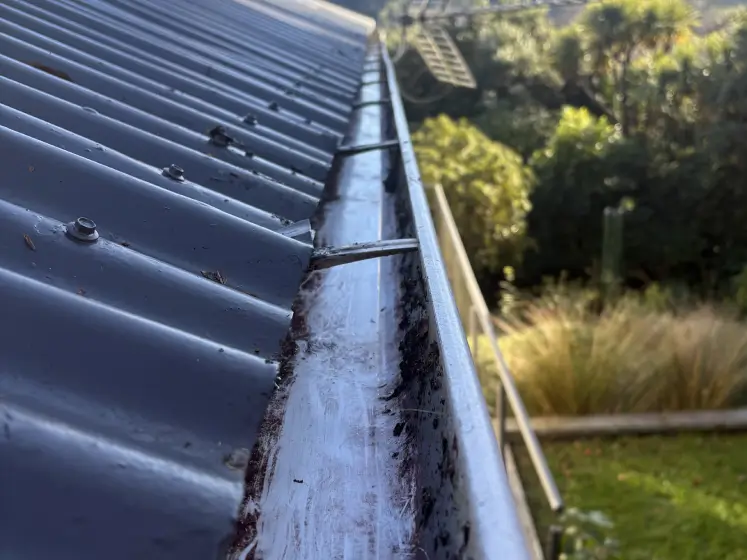 Wilson’s Property Maintenance — Gardening Services in Dunedin