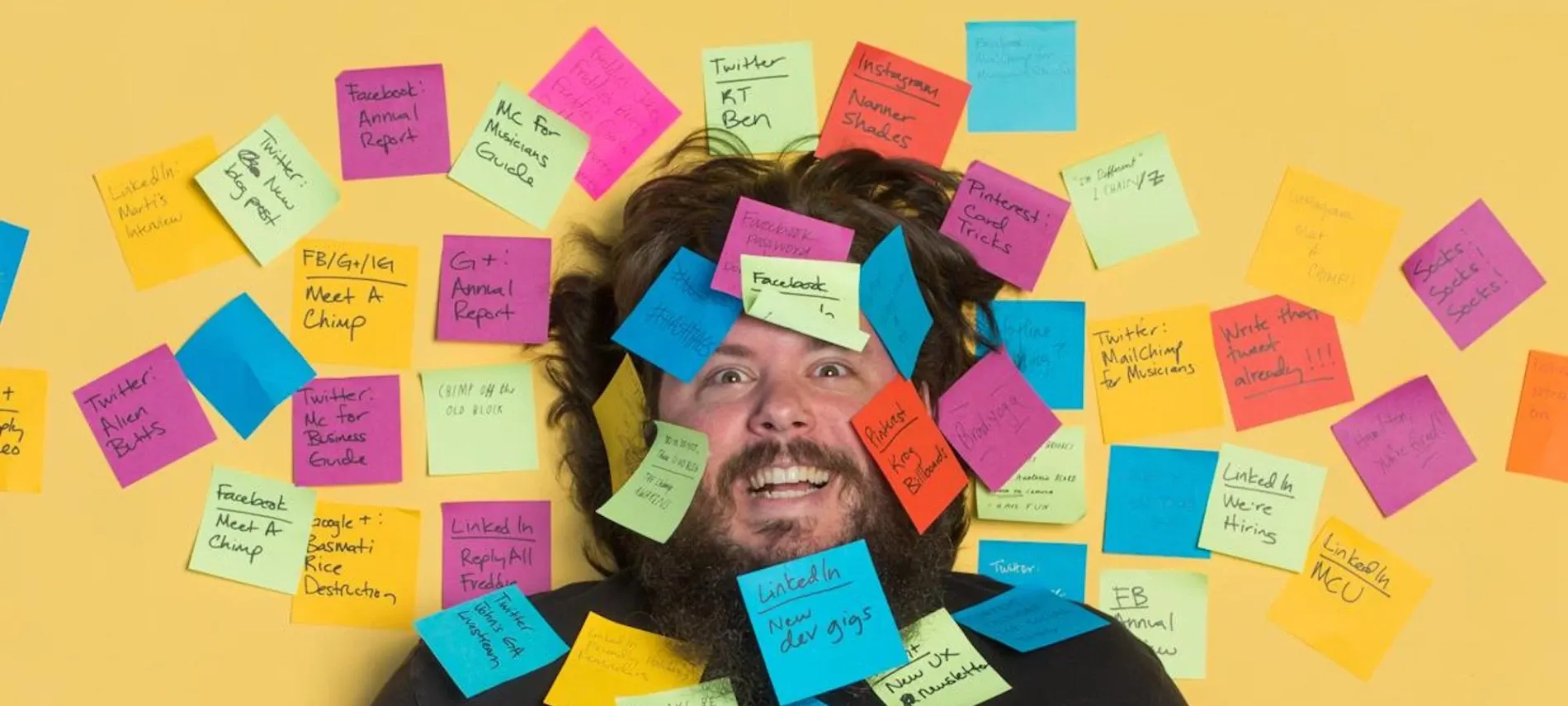 Chalk n Cheese — Website Designers in Albany