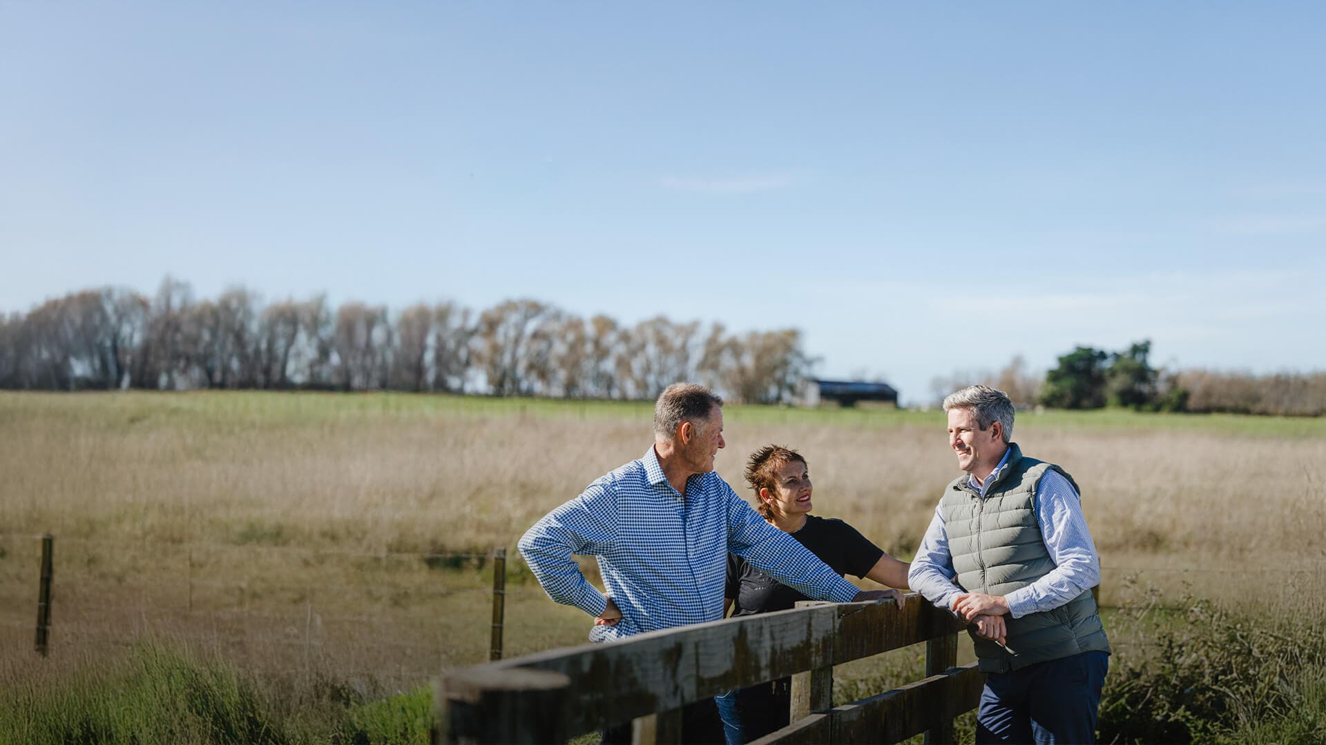 Sainsbury Logan and Williams — Legal Services in Napier