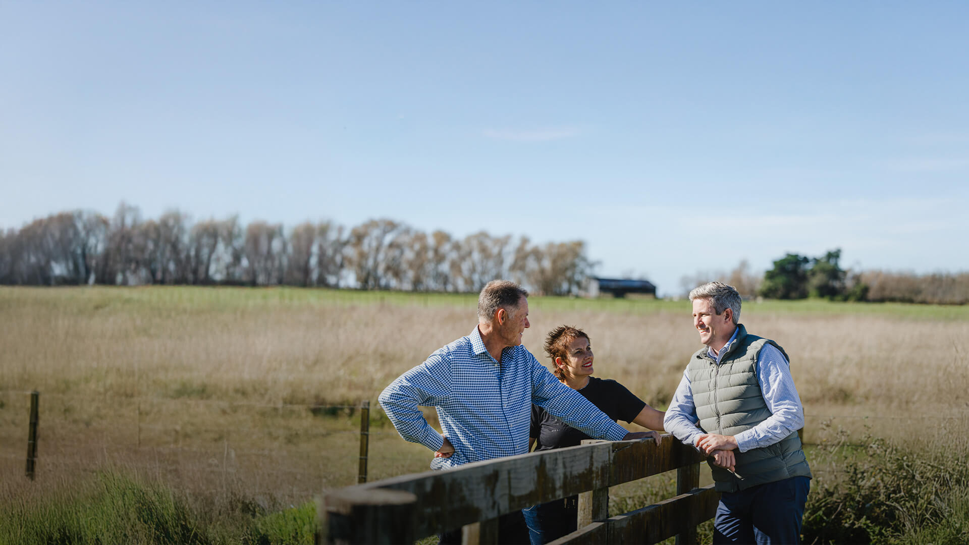 Sainsbury Logan and Williams — Legal Services in Napier