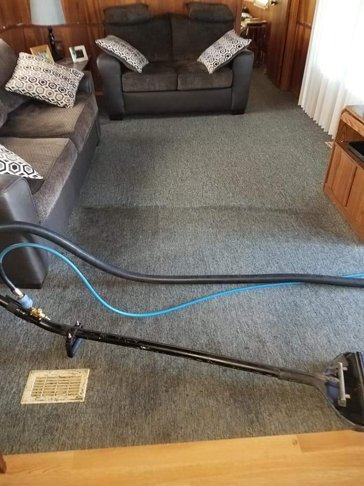 Auckland Carpet Cleaners — Cleaning Services in Auckland