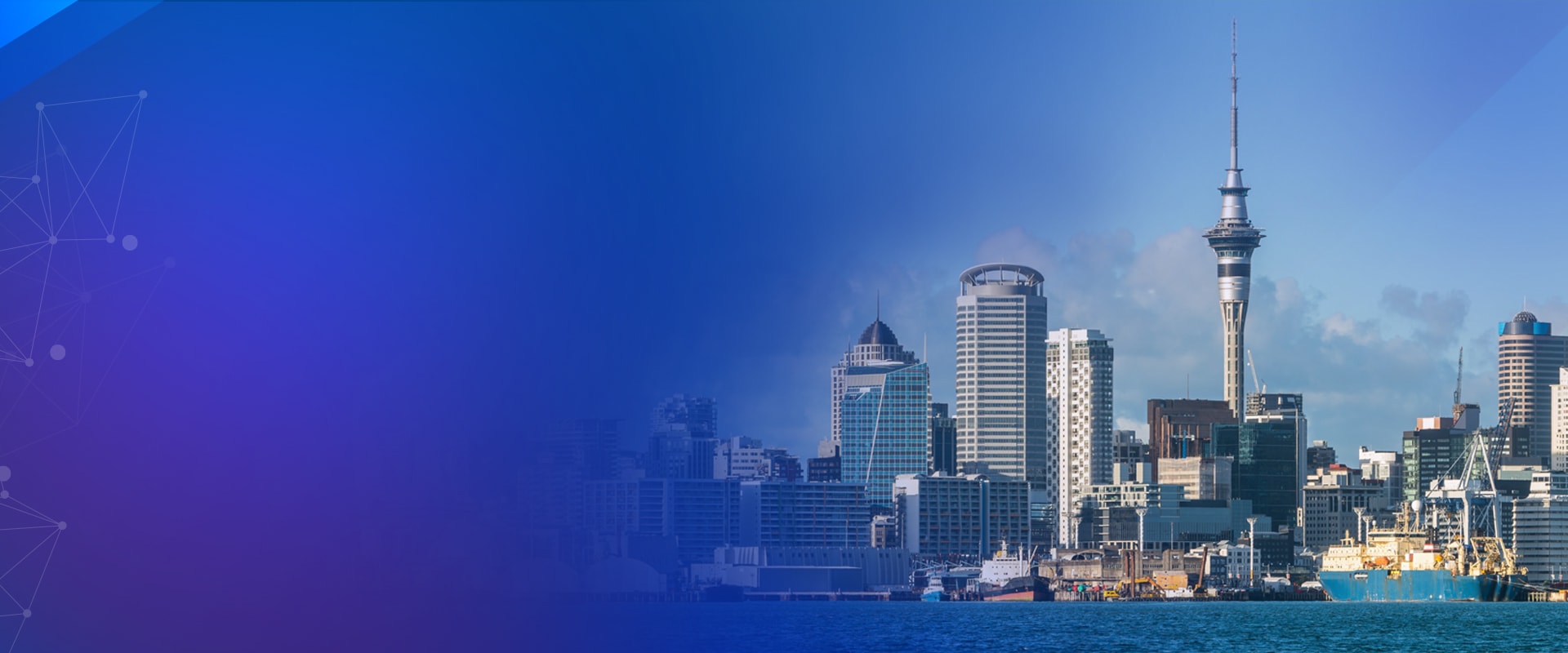 B3NET — Digital Marketing Agencies in Wellington