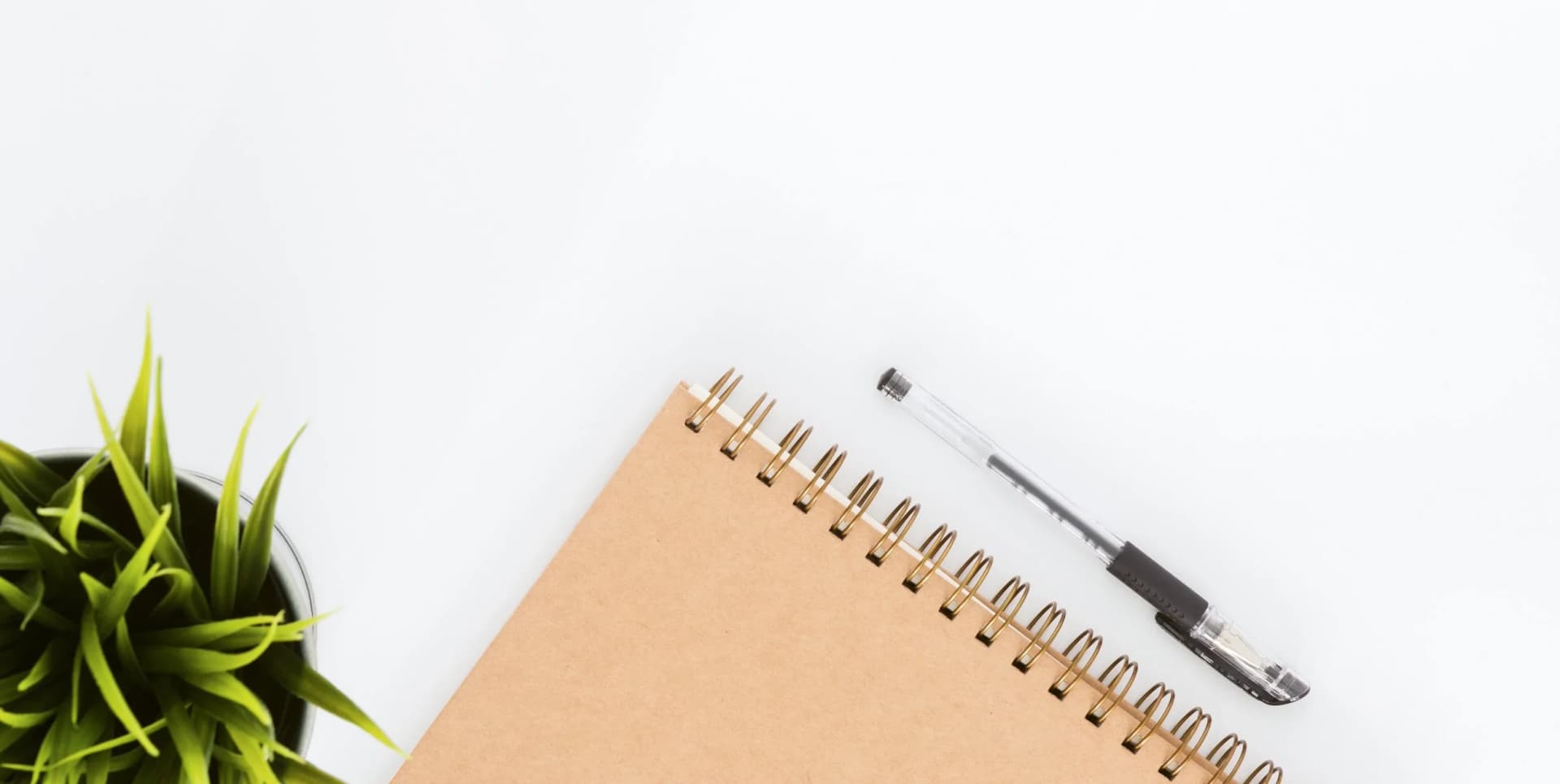 Shufflehub — Bookkeepers in Frankton