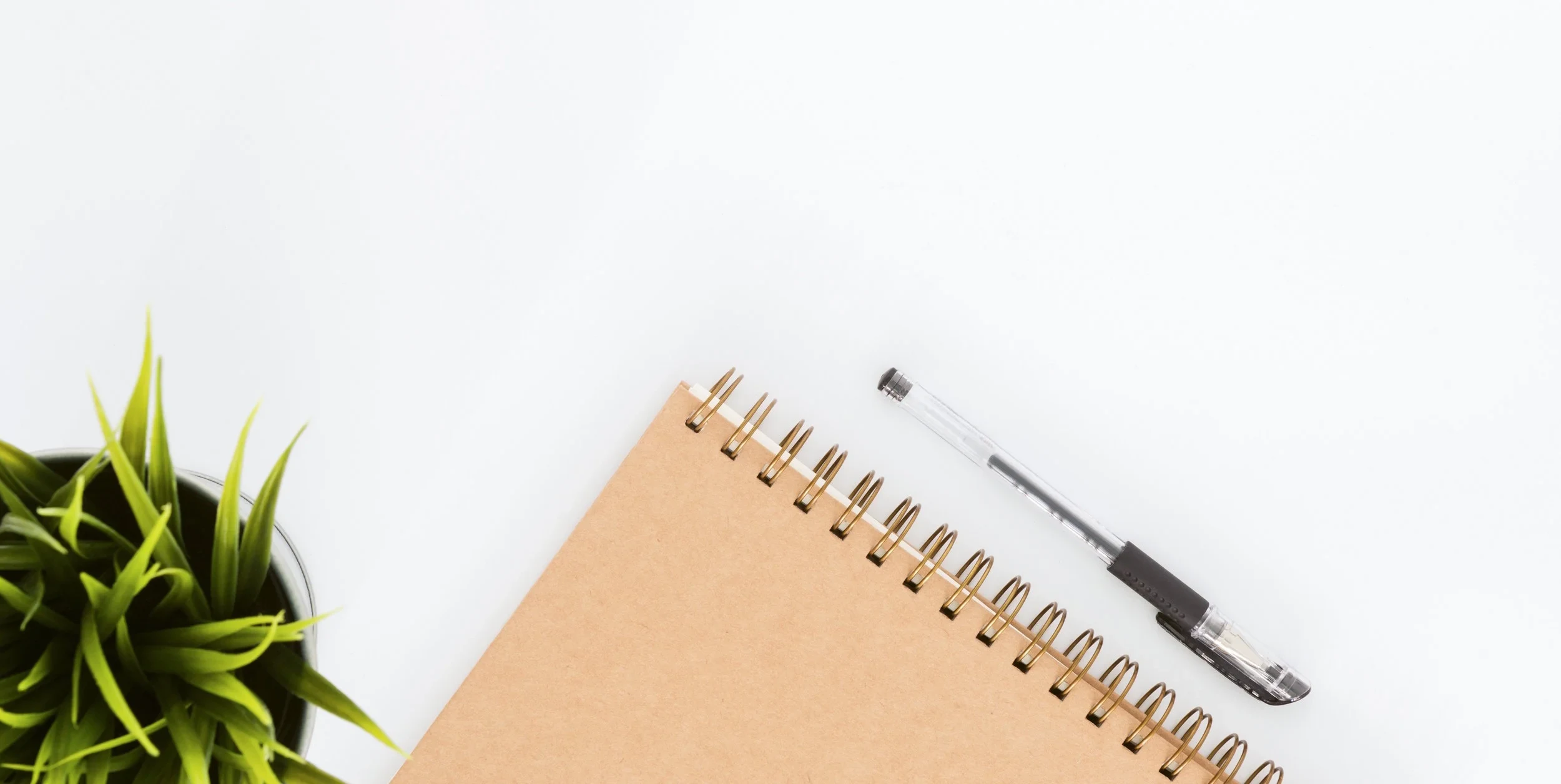 Shufflehub — Bookkeepers in Frankton