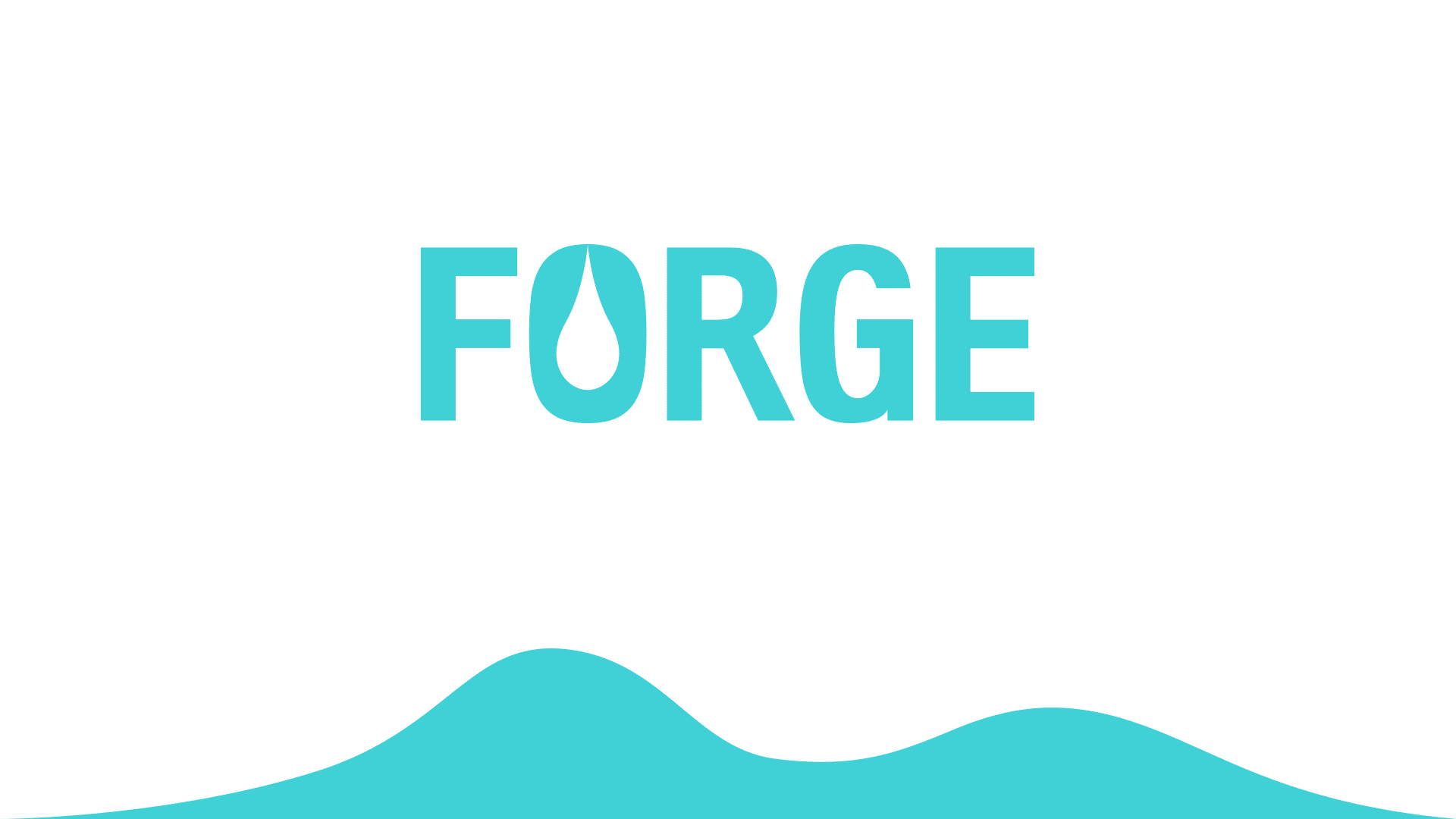 Forge Creative — Website Designers in Albert-Eden