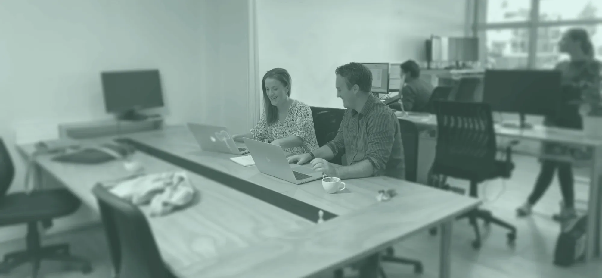 Artistry — Website Designers in Tauranga