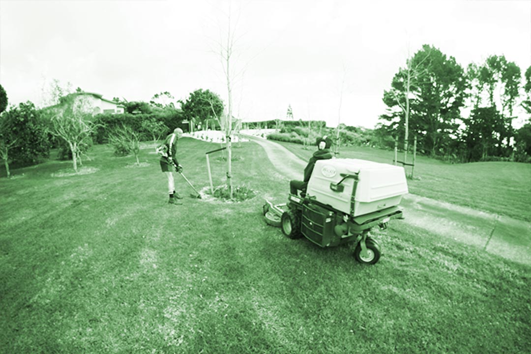 Lawns R Us Taranaki — Gardening Services in New Plymouth