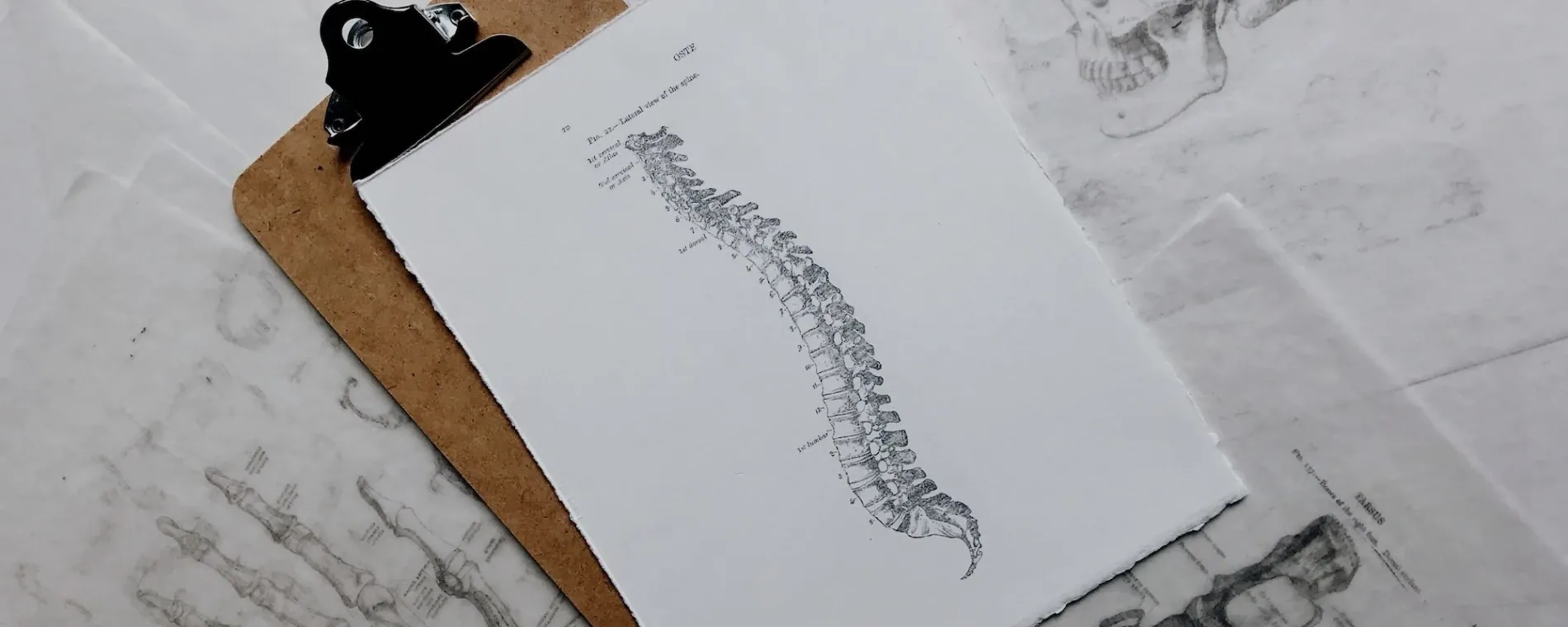 The Healing Centre — Chiropractors in Remuera