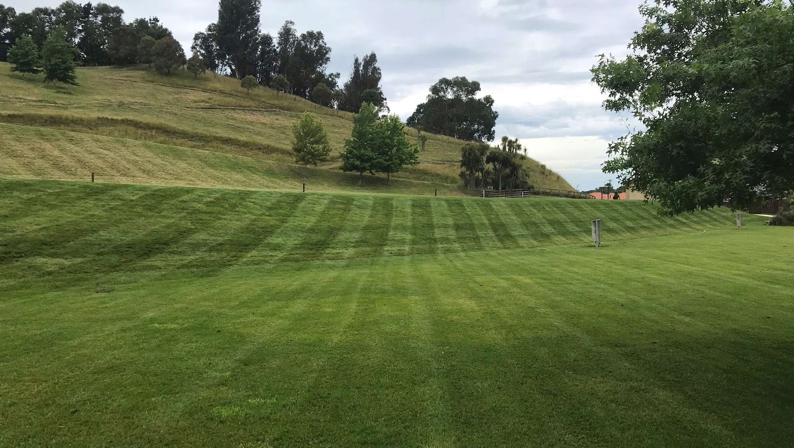 Slope Mowing Hawkes Bay — Gardening Services in Havelock North