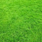 Slope Mowing Hawkes Bay