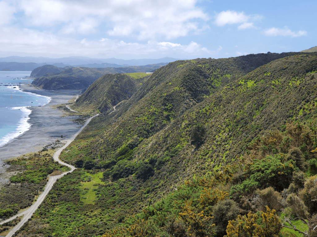 Torlesse Geotechnical Engineers — Engineering Services in Wellington