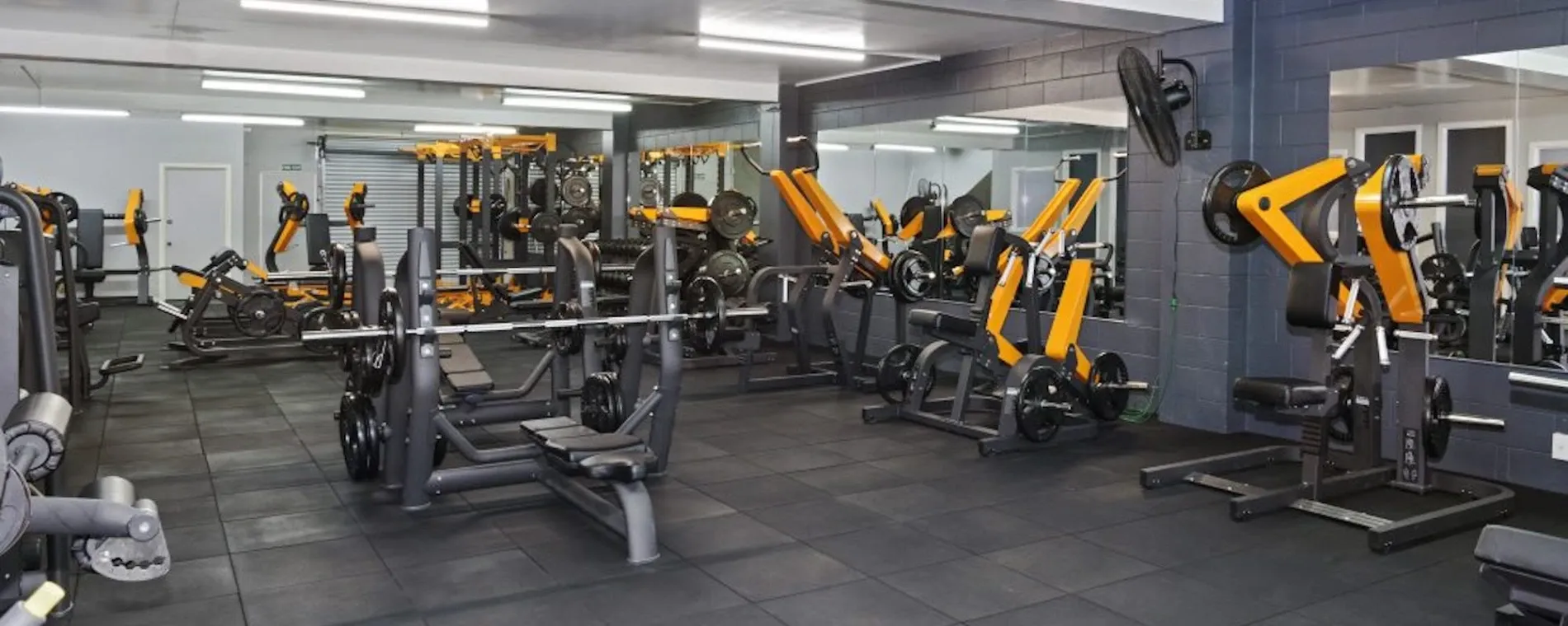 Xcel Fitness Manukau — Gyms in Auckland