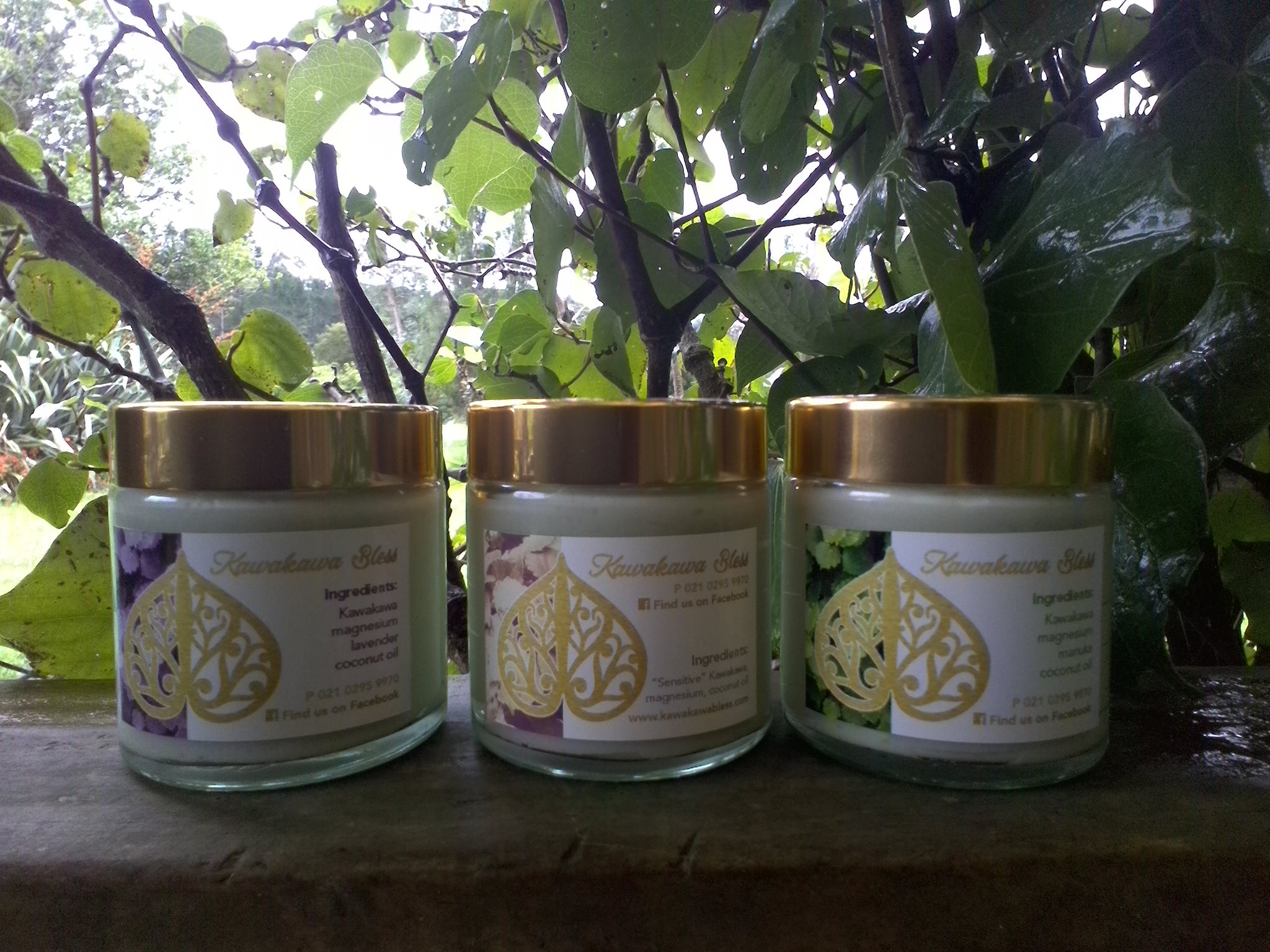 Kawakawa Bless — Health & Wellness in New Zealand