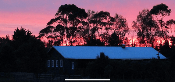 The Woolshed Cafe — Café in Sanson