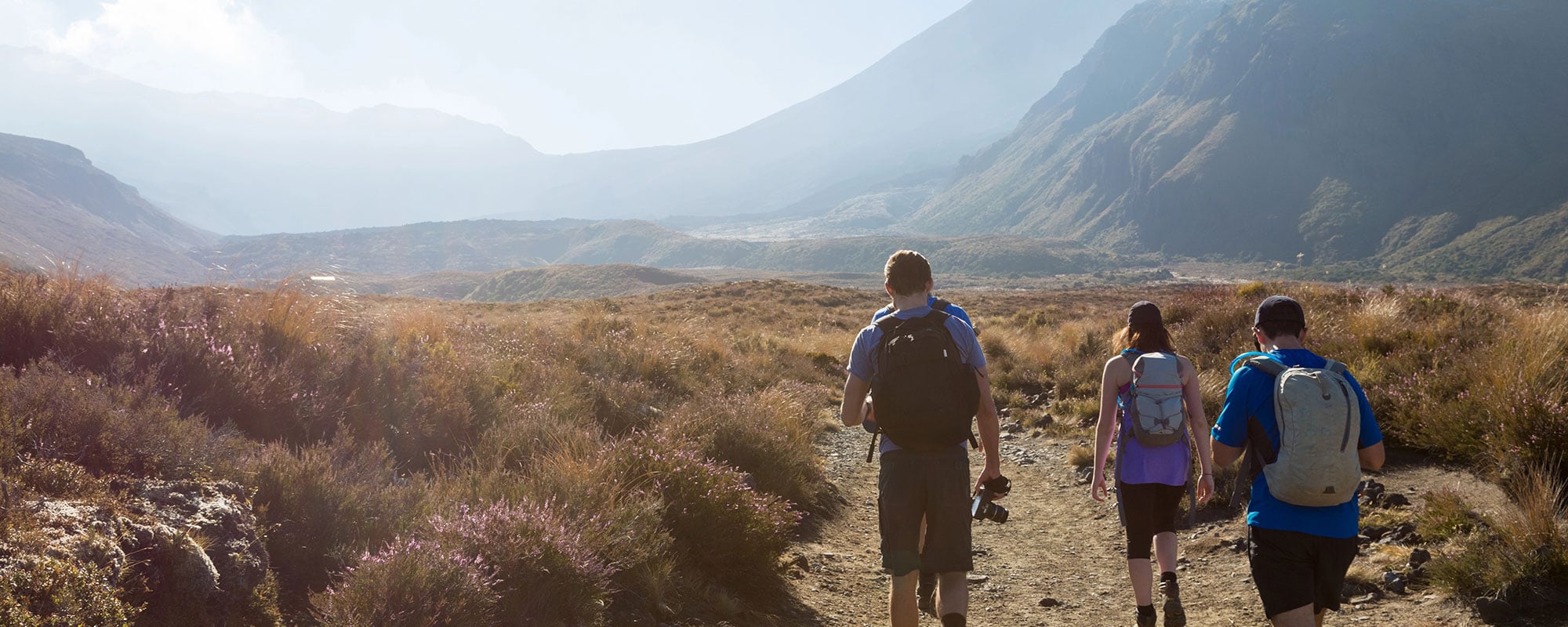 The Park Hotel Ruapehu — Accommodation in National Park