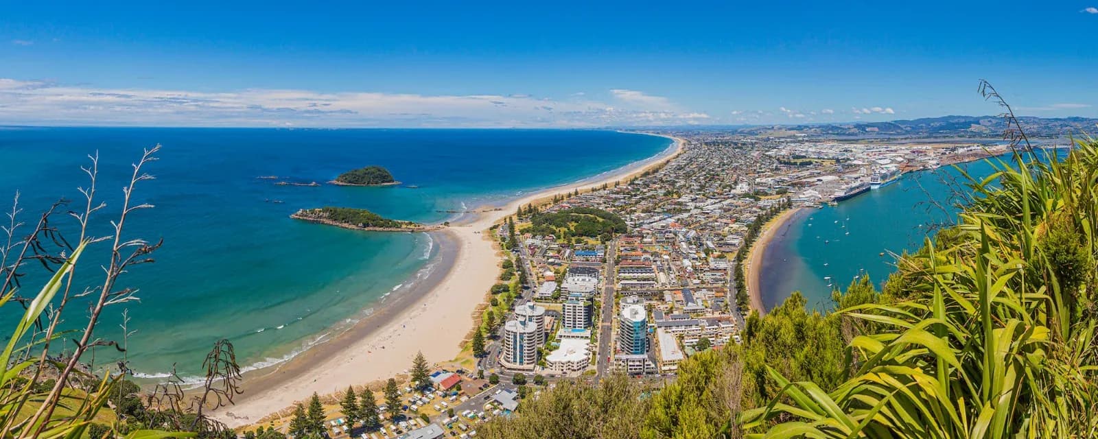 CBRE Tauranga — Real Estate Agents in Mount Maunganui