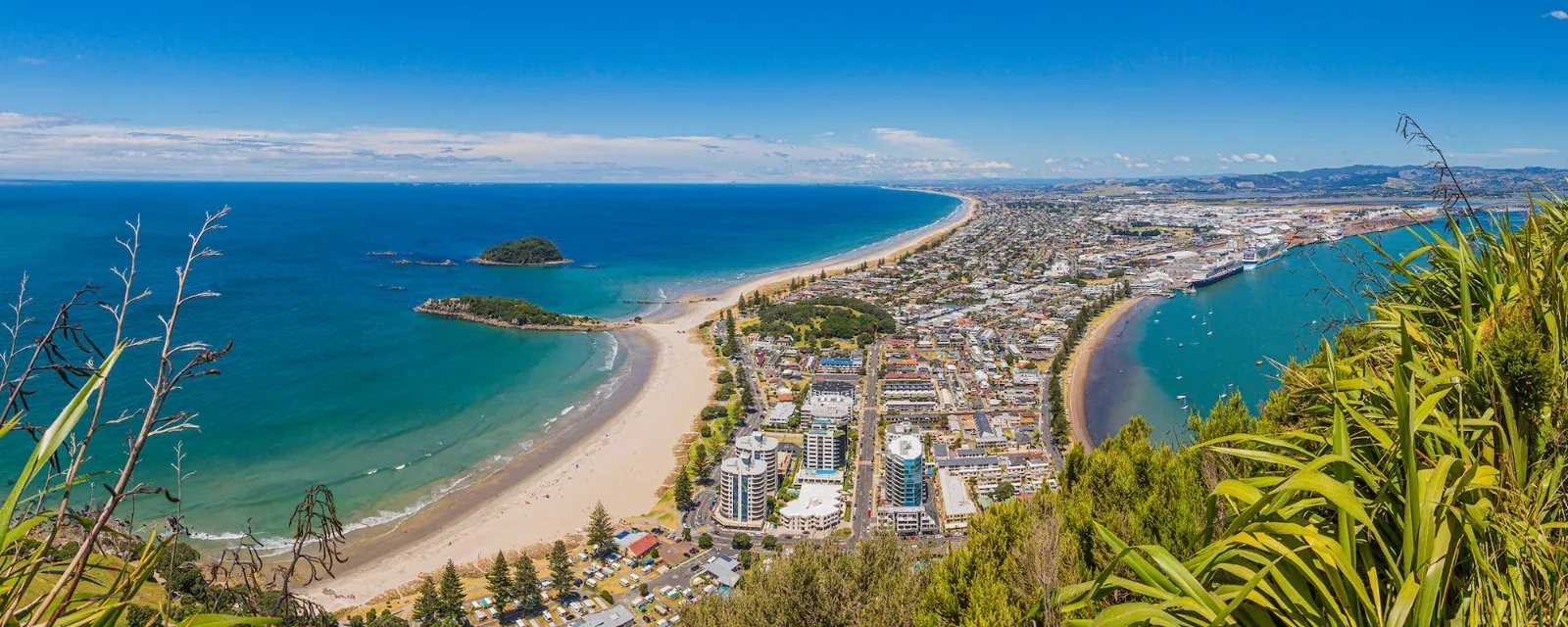 CBRE Tauranga — Real Estate Agents in Mount Maunganui