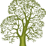 Peter Waymouth / GreenTrees