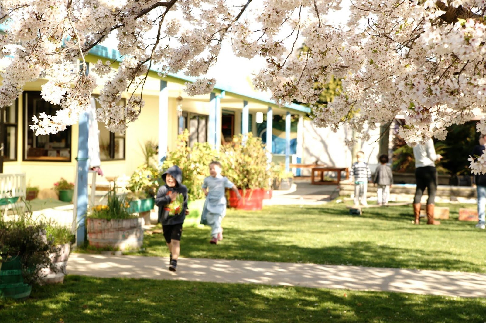 Omaka Early Learning Centre — Childcare Centres in Blenheim