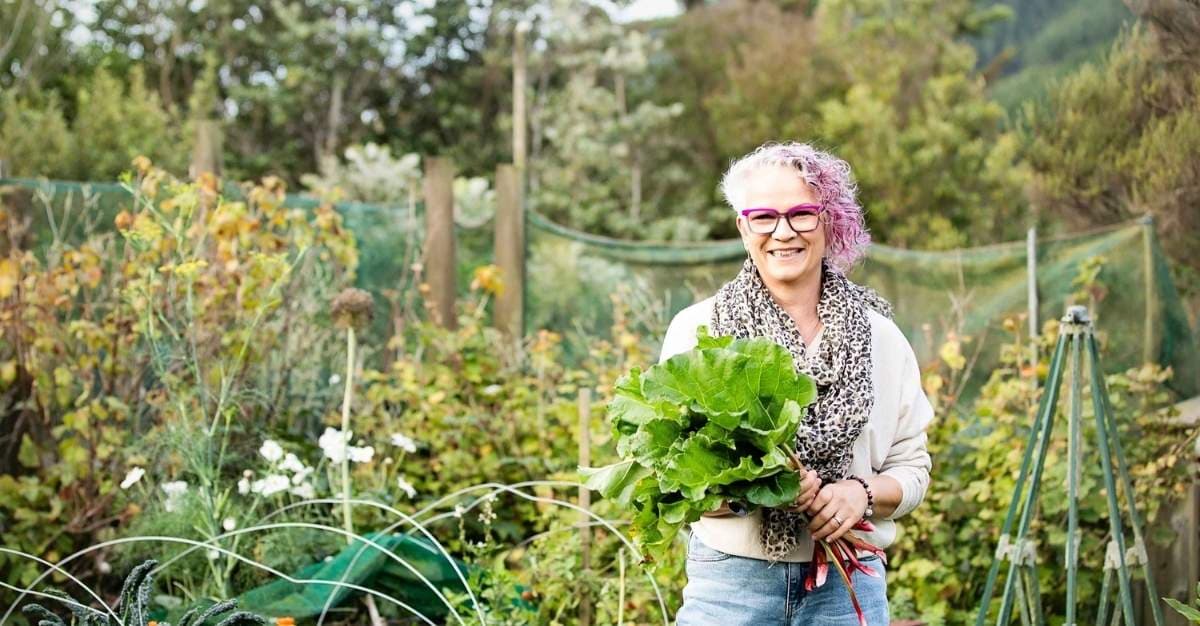 Natural Equilibrium — Massage Therapists in Porirua