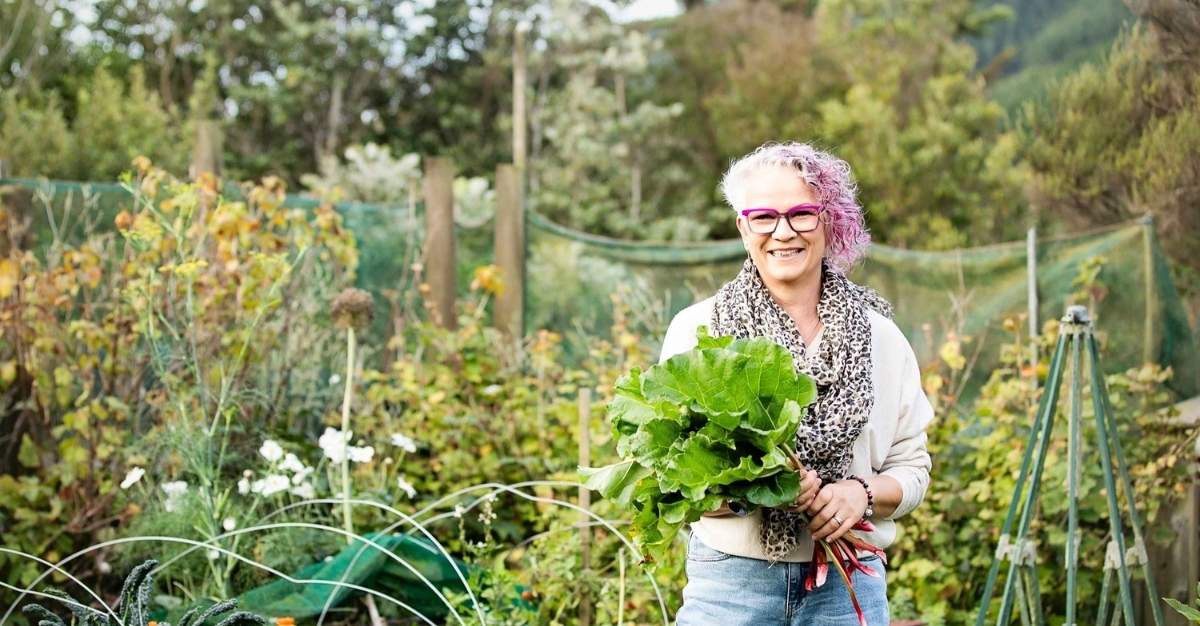 Natural Equilibrium — Massage Therapists in Porirua