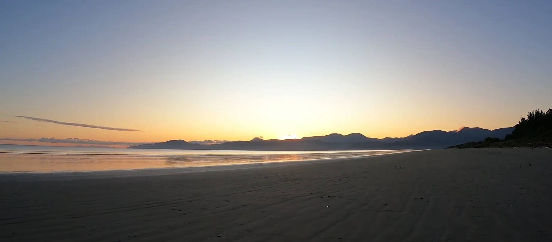 Tracy Allan Creative — Videographers in Nelson