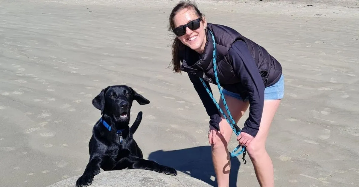 Dirty Dogs — Dog Groomers in Queenstown
