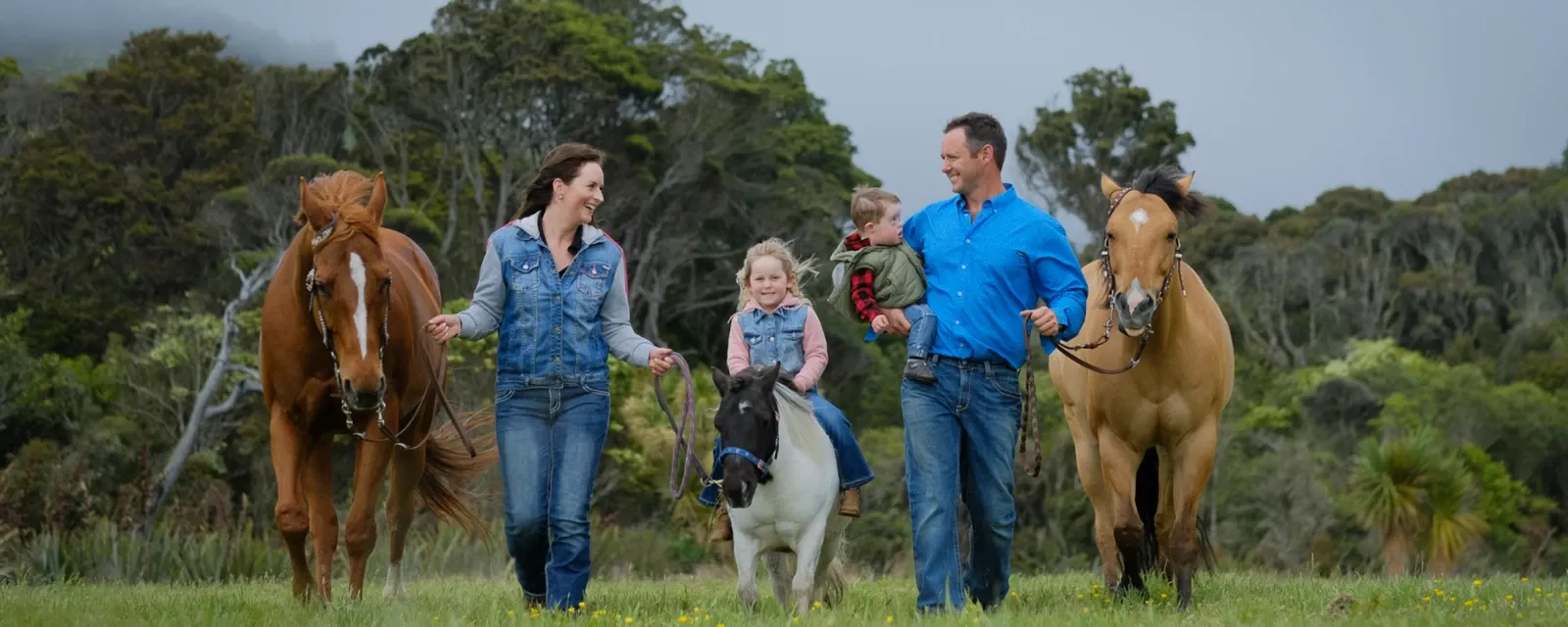Sean Waller Photography — Photographers in Manawatu-Whanganui