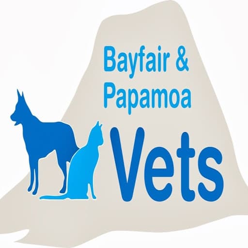 Bayfair Vets