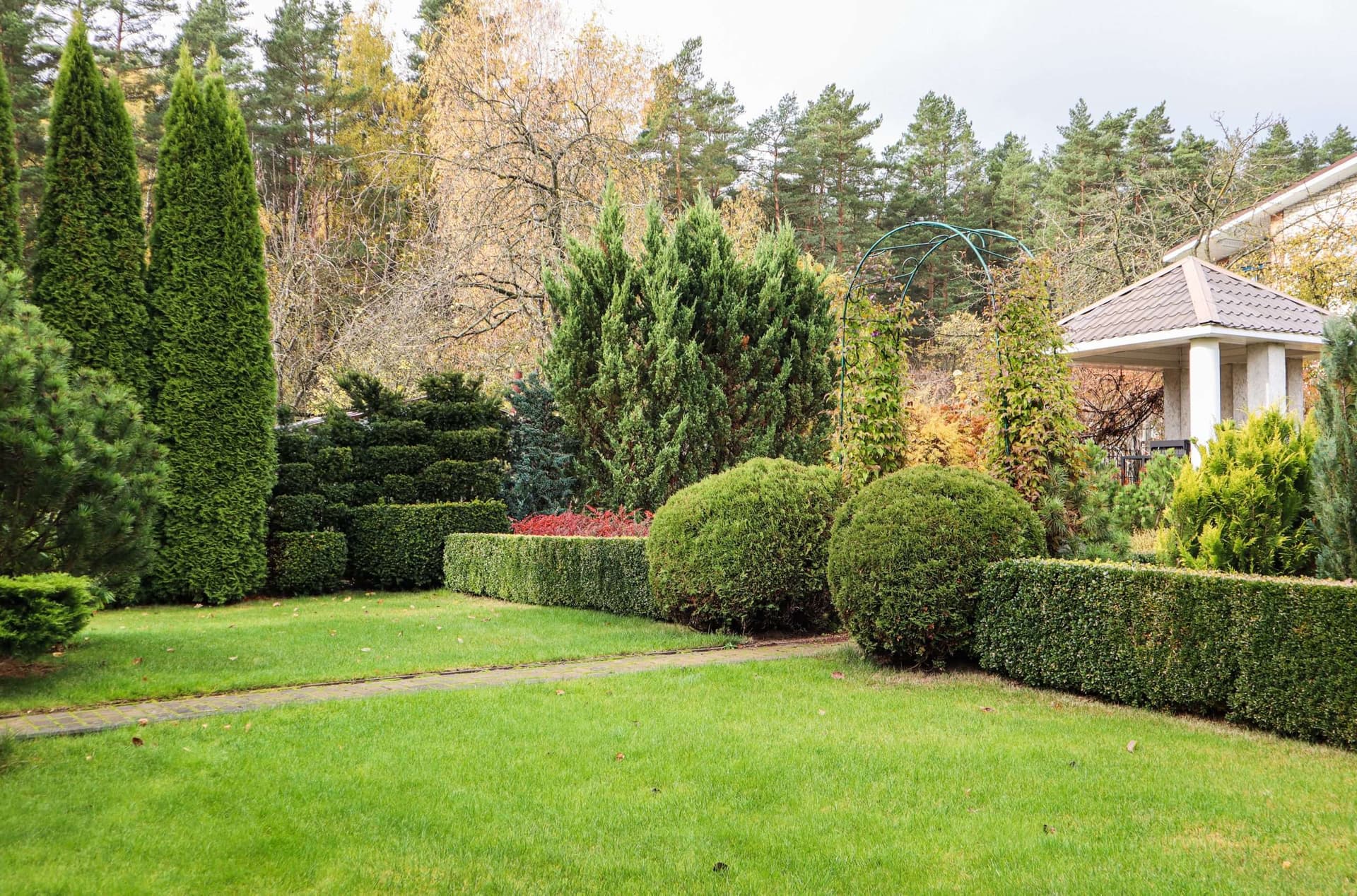 Bay Tree Services — Arborists in Tauranga