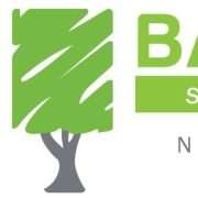 Bay Tree Services