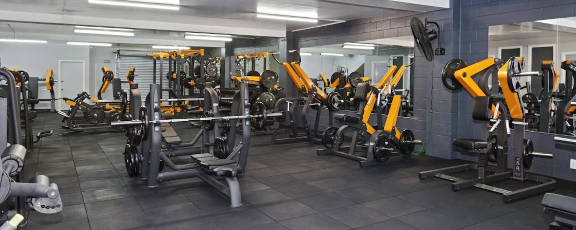 Xcel Fitness Airport Oaks / Mangere