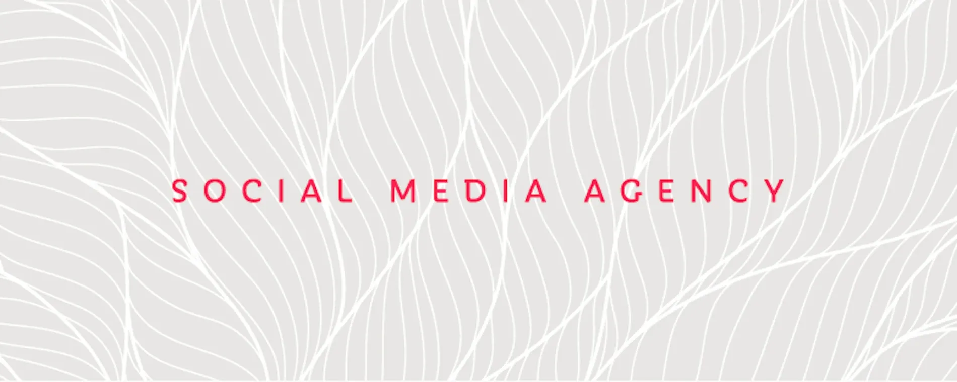 We Do Social — Website Designers in New Plymouth