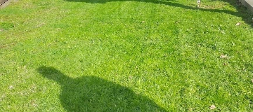 Whangarei Lawn Mowing Services — Gardening Services in Whangārei