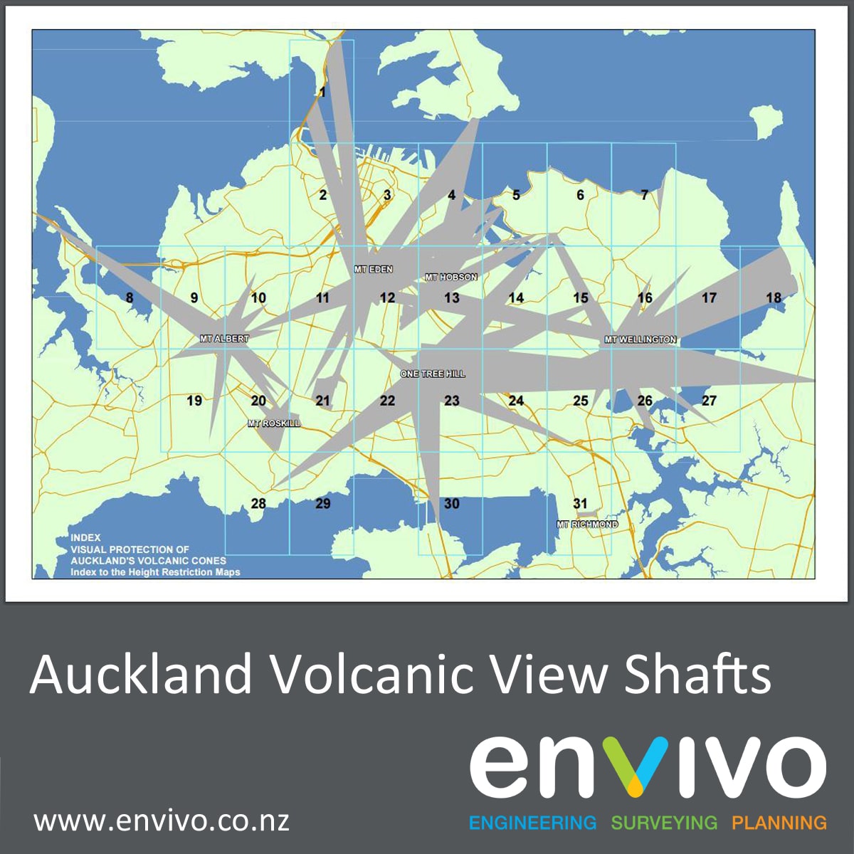 Envivo — Surveyors in Albert-Eden