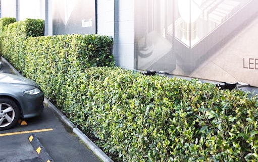 Corporate Lawns — General Contractors in Manukau