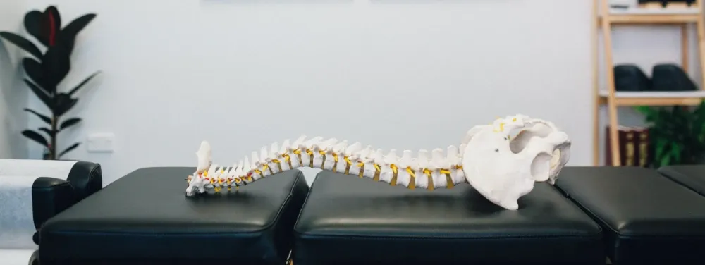 Revive Chiropractic — Chiropractors in Christchurch
