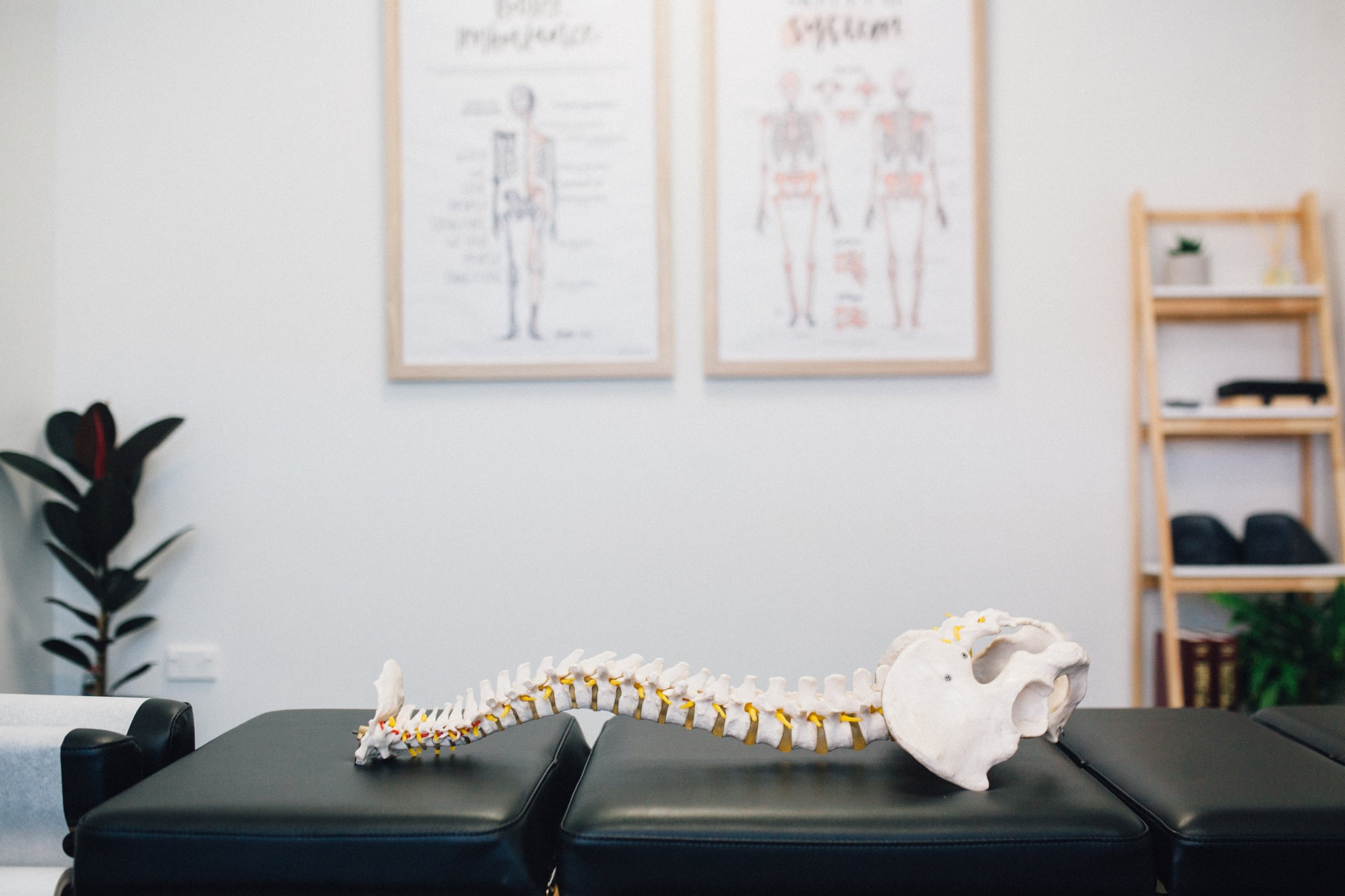 Revive Chiropractic — Chiropractors in Christchurch