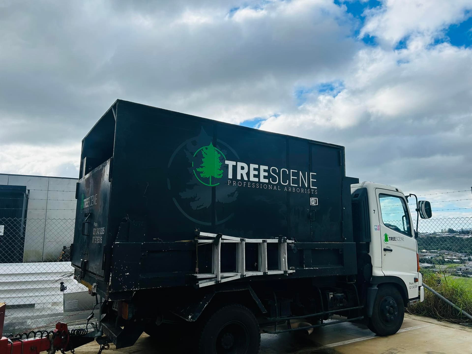 Tree Scene — Arborists in Tauriko