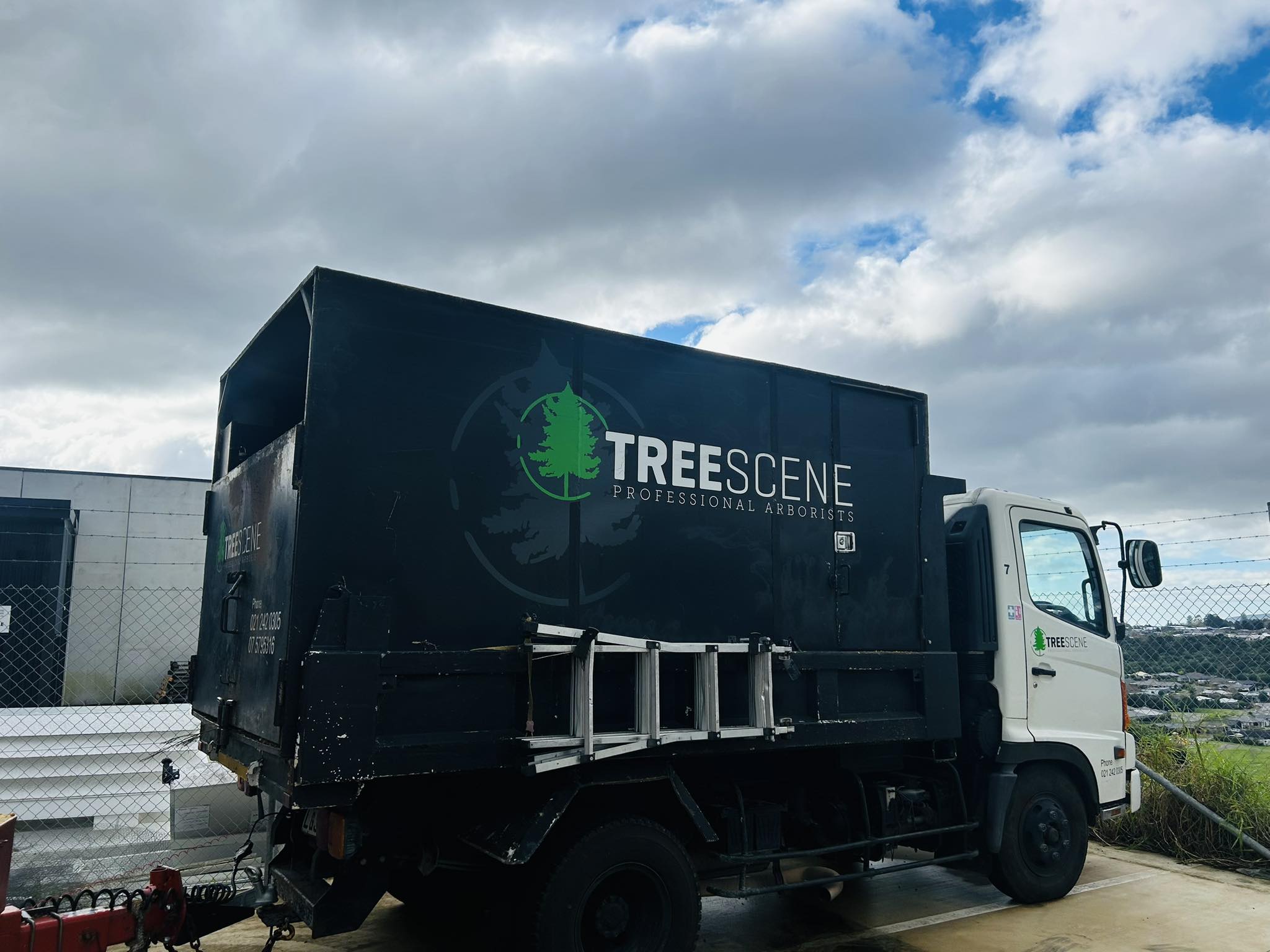 Tree Scene — Arborists in Tauriko