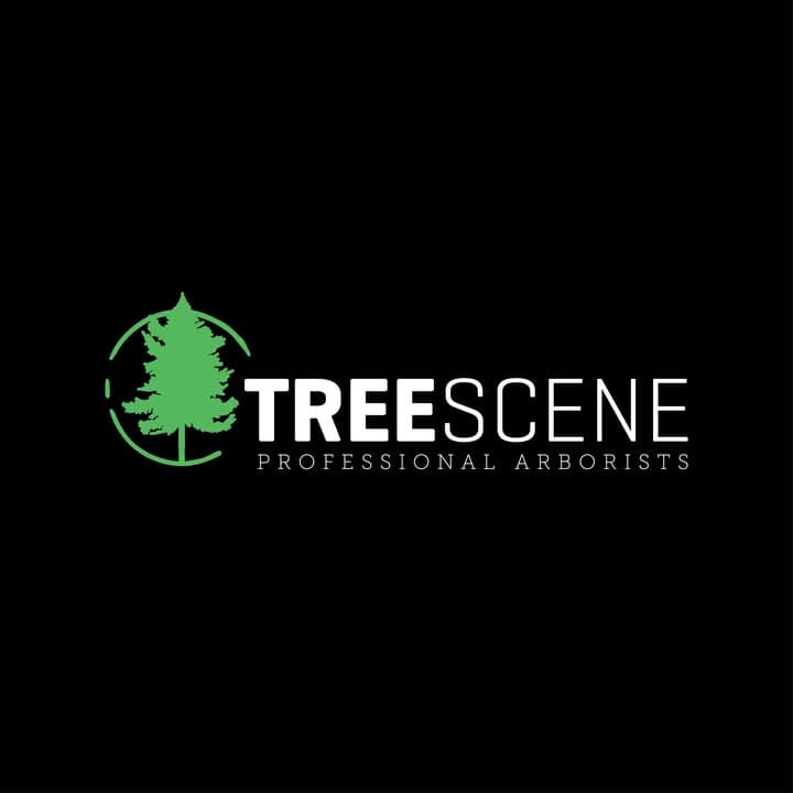 Tree Scene