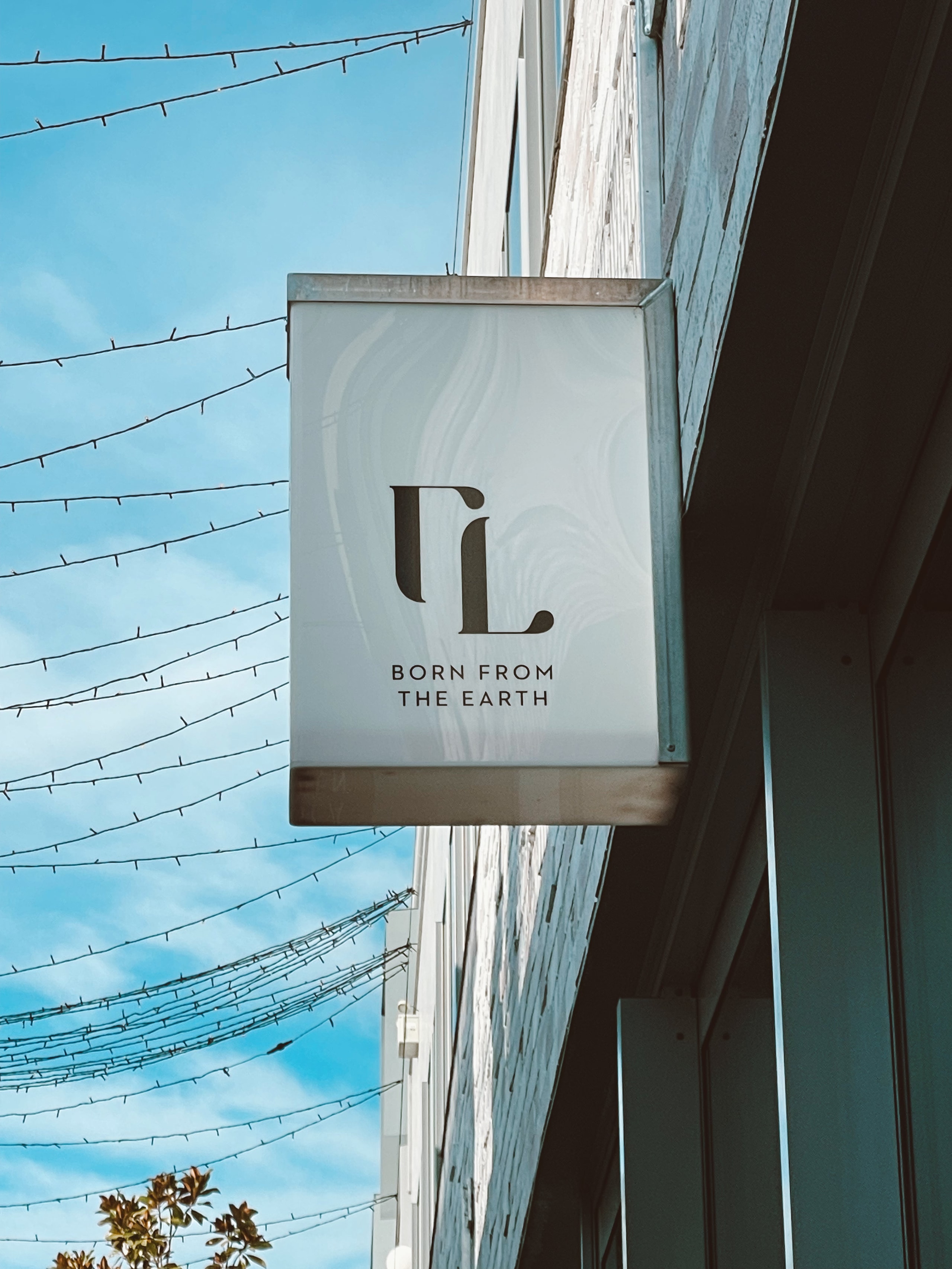 Revology Concept Store — Gift Shops in Wānaka