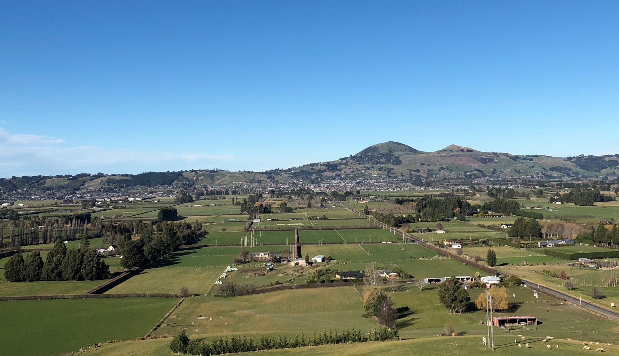 LJ Hooker Mosgiel — Real Estate Agents in Dunedin