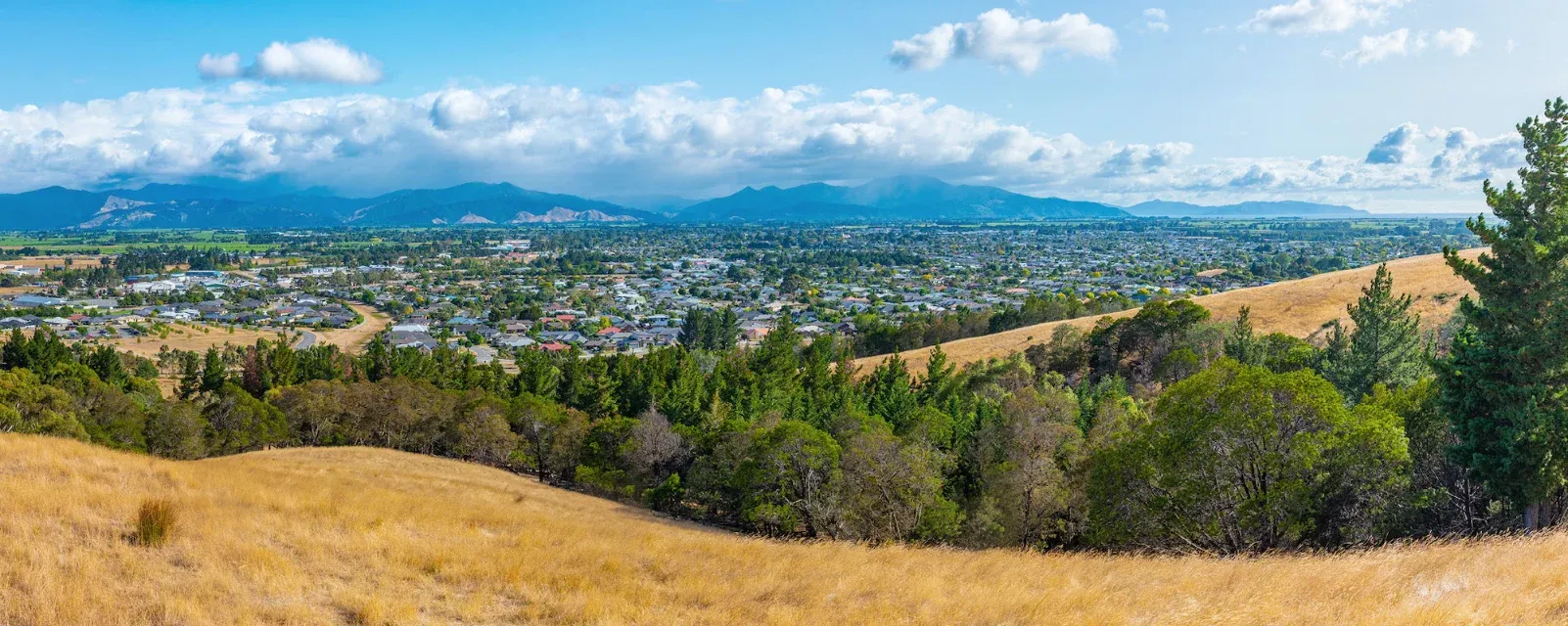 CBRE Marlborough — Real Estate Agents in Blenheim